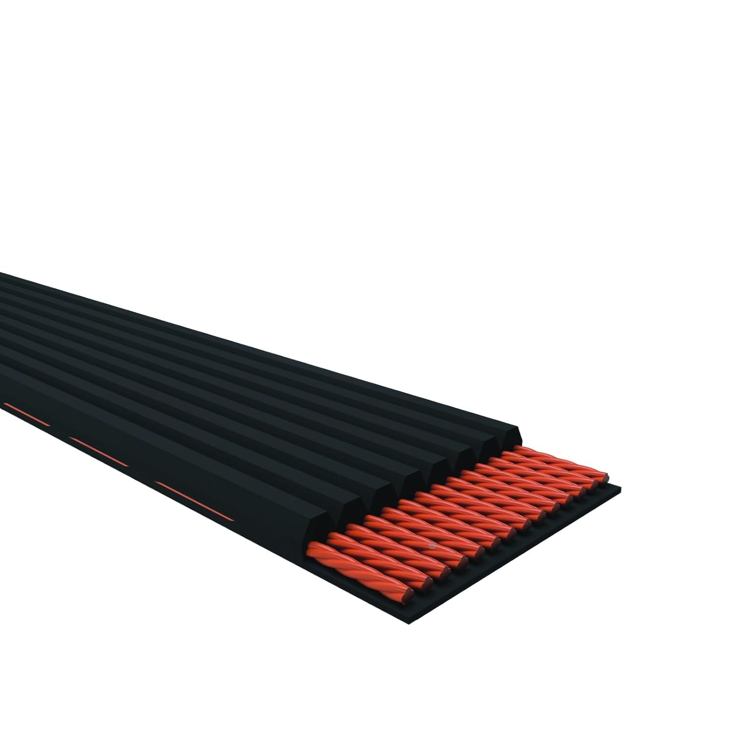 Cross-section of a timing belt showing internal construction