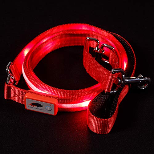 Blazin' Safety LED Dog Leash - USB Rechargeable Flashing Light, 6 Ft, Water Resistant – Avoid Danger – Red