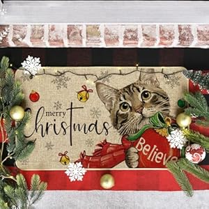   Artoid-Mode-Cat-Believe-Balls-Merry-Christmas-Doormat-Snowflake-Winter-Xmas-Home-Decor-Low-Profile-Switch-Rug-Door-Mat-Floor-Mat-for-Indoor-Outdoor-17x29-Inch