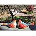 Goodman and Wife Set of 2 Ceramic Flower Embellished Multi-Colored Bird Figurines, Red
