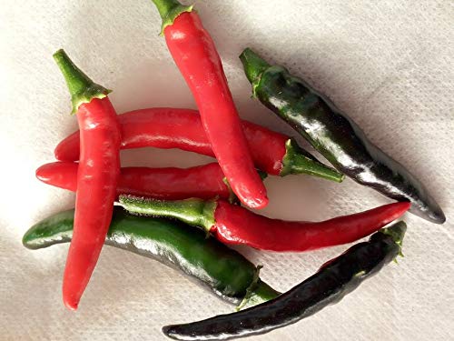 SEMI PEPERONCINO 5 VARIETA'-GOAT'S WEED-DIAVOLICCHIO CALABRESE-MAZZETTI- SATANA'S KISS RED-FUSHIMI