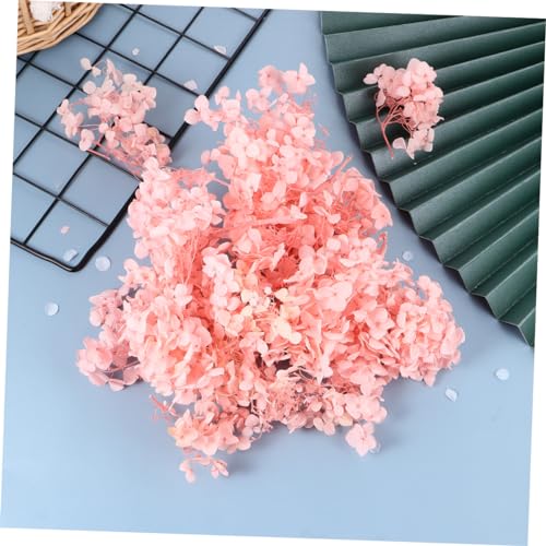 Cabilock 1Pack Pétalos de Hortensia Preservados para Manualidades miniatura 4