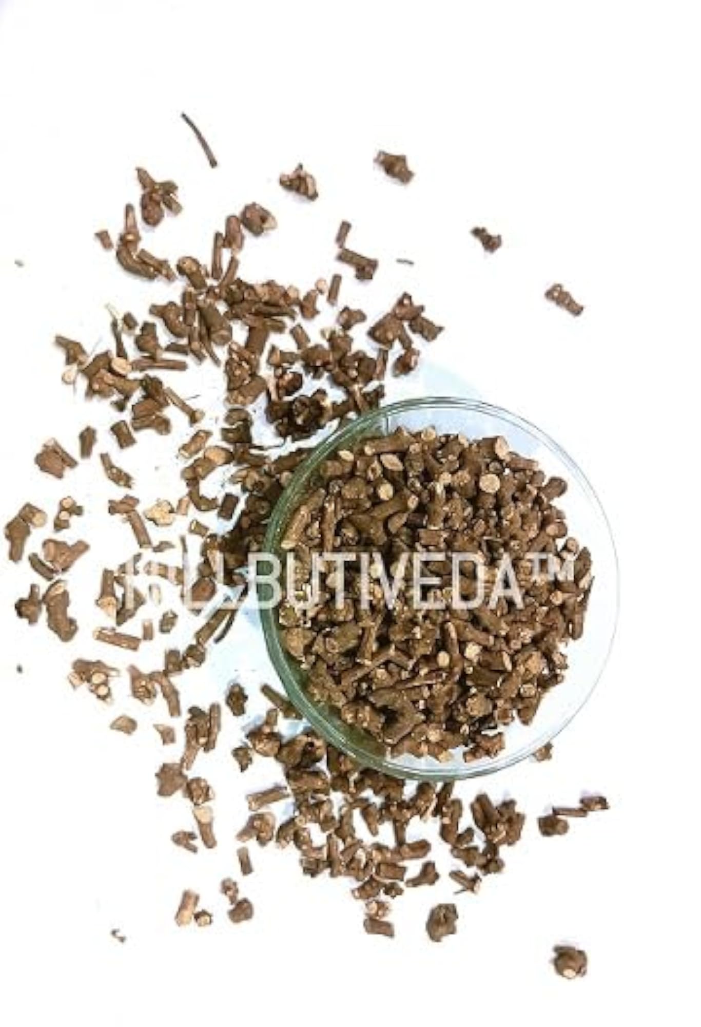 Piplamool - Ganthoda Herbal Powder, Natural Health Supplement
