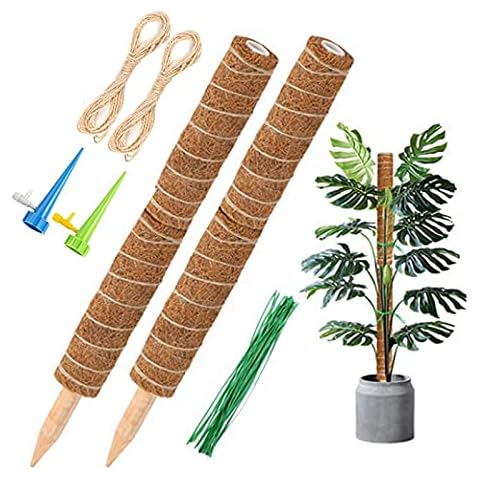 Suertree Moss Pole 4 Pack 12 Inches Coir Pole for Cheese Plant Climbing Sticks Support Indoor Extending Monstera Moss Stick Creepers Cover
