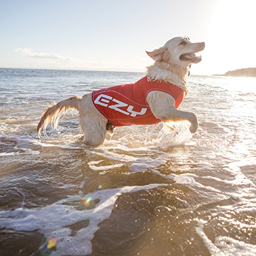 Ezydog Rashguard Vest - Premium Dog Shirt Allowing All-Day Water Use - Tested To Provide 50+ Uv Protection - Innovative Design For A Snug, Comfortable Fit (Large, Red) #TOP3