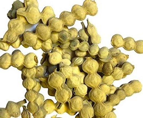 Babul Phali - 250 Grm - Kikar Fali - Babool Phali - Acacia Arabica - Babul Dry Pods - Kikar ki Fli - बबूल की फली