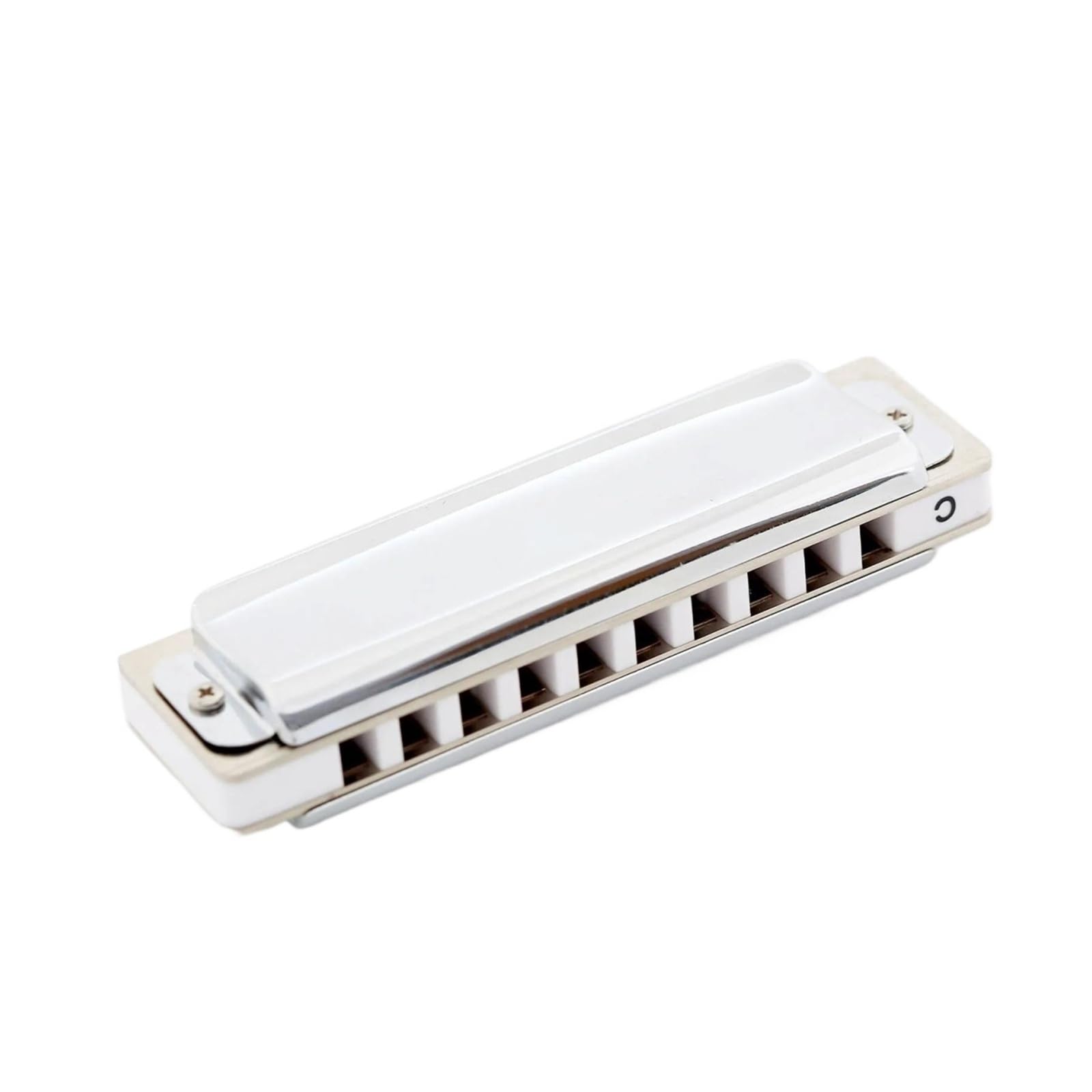 Armonica Armonica a bocca 10 fori Blues Harp Diatonica Blues Armonica a bocca Argento Armonica a bocca Diatonica Blues Tonalità di Do