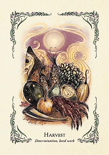 The Green Witch's Oracle Deck: Embrace the Wisdom and Insight of Natural Magic (Green Witch Witchcraft Series) - Image 11