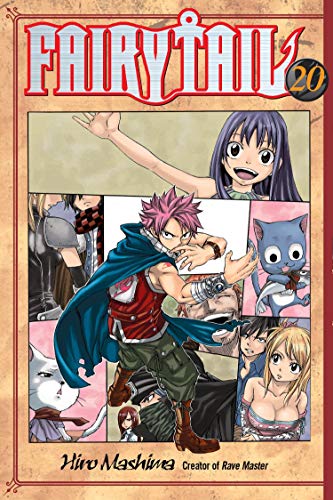  FAIRY TAIL 20 Livre eBook France