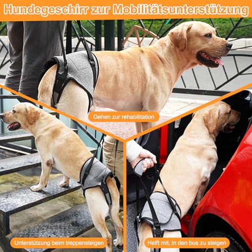 Hundehebegeschirr, Verstellbare Tragegeschirr Hund, Hundegeschirr Grosse Hunde Mit Schwammgriff, Tragbares Hundegeschirr für die Hinterbeine Kranke Oder Operierte Hunde