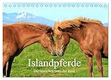 Liebevolle Fotos von Islandpferden in ihrem natürlichen Lebensraum (Monatskalender, 14 Seiten ) , von Autor(in): gro