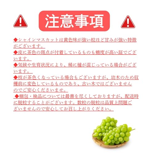 ノーブランド品 シャインマスカット 晴王 岡山県産 の商品画像 8