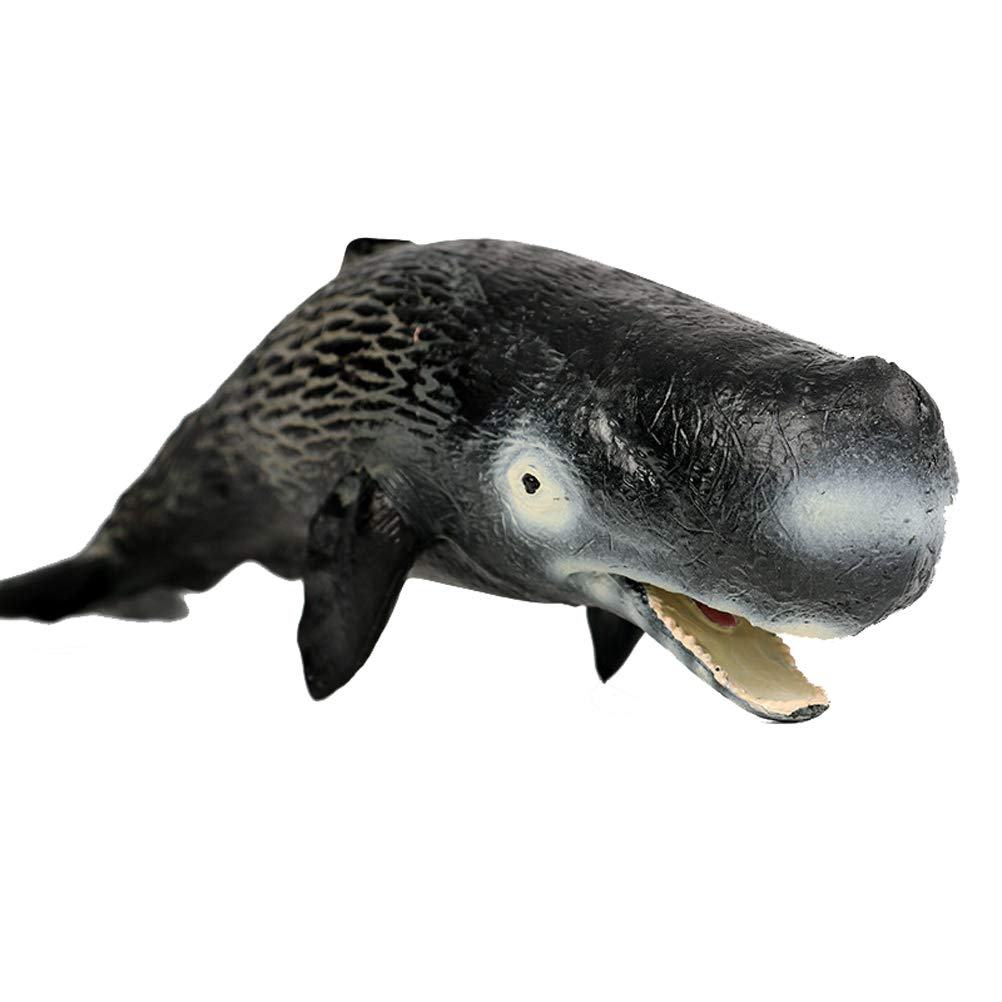JOKFEICE Sperm Whale Figures - Realistic Animal Figures Pretend Play Toy - Learning Educational Toy Christmas Birthday Gift Cake Topper Teacher Rewards for Kids Children
