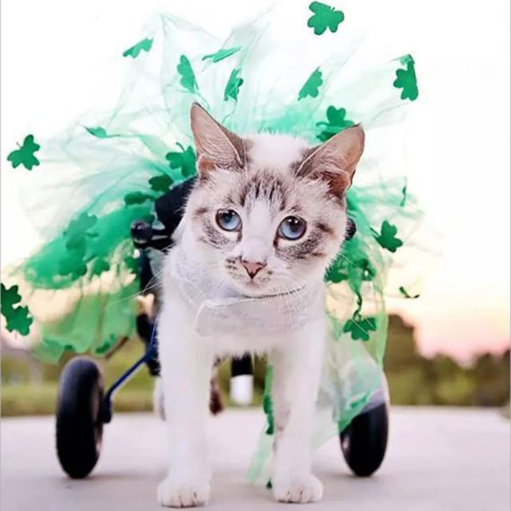 N.F. Silla de Ruedas para Gatos, Silla de Ruedas para Mascotas Liviana de 2 Ruedas, Ruedas para Caminar Asistidas Ajustables para discapacitados Gatos pequeños débiles y Perros pequeños 0.8-8kg
