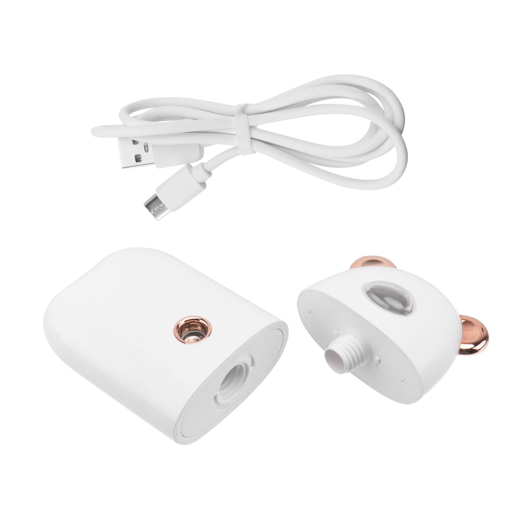 BIUDECO Skin Moistener for Beauty Care Portable Facial Mist Sprayer Hydrating Nano Facial Sprayer Abs Material Lightweight White