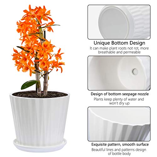 Plant-Pots-67-Inch-Cylinder-Ceramic-Planters-with-Connected-Saucer-Pots-for-Succuelnt-and-Little-Snake-Plants-Set-of-2-White Plant-Pots-67-Inch-Cylinder-Ceramic-Planters-with-Connected-Saucer-Pots-for-Succuelnt-and-Little-Snake-Plants-Set-of-2-White