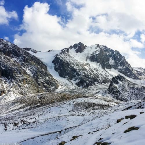 Alpha Corporate Sales - How to obtain wealth, health, and happiness cover art