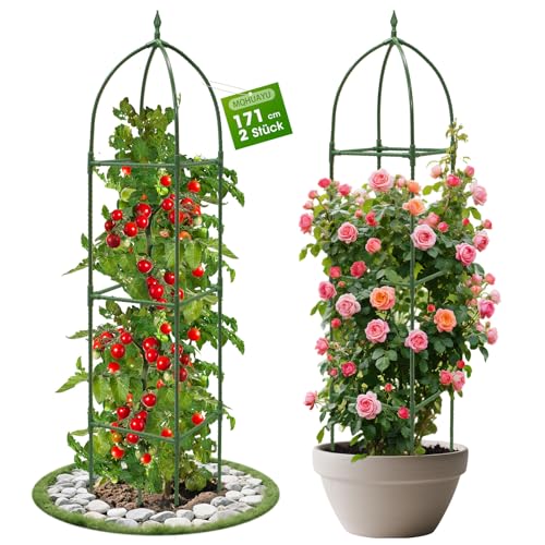 MQHUAYU Enrejado para Plantas Trepadoras, 2 Piezas 171 cm Enrejado Jardin Exterior Desmontable, Soporte Plantas Trepadoras para Rosales y Tomateras de Interior y Exterior