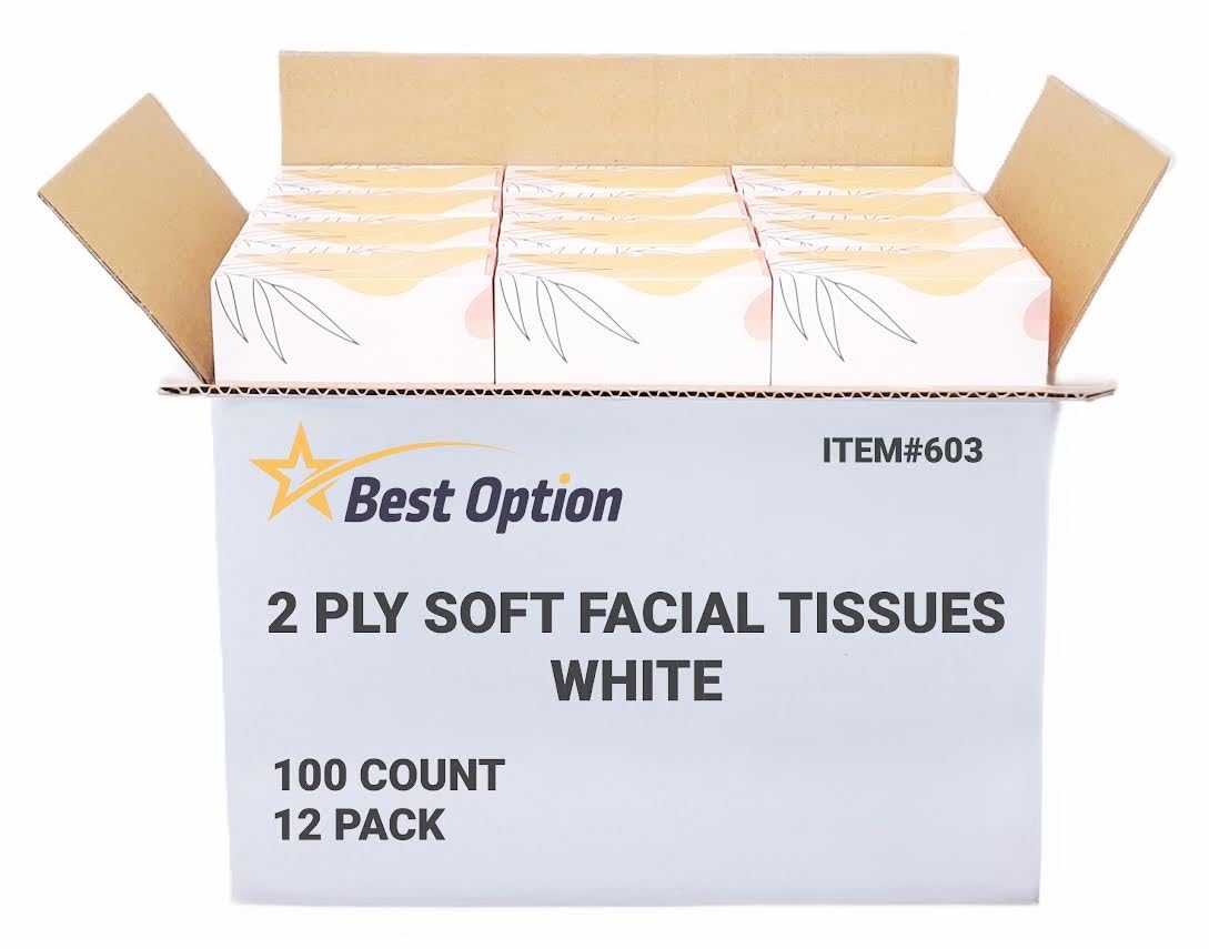 Soft 2-Ply Facial Tissue, White, 100-Count Box | Professional, Gentle and Durable | Great for Bathroom, Office, Business, School (1,200 Tissues, Bulk
