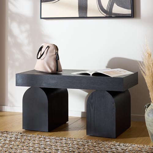SAFAVIEH Home Collection Hanra Modern Black Bench