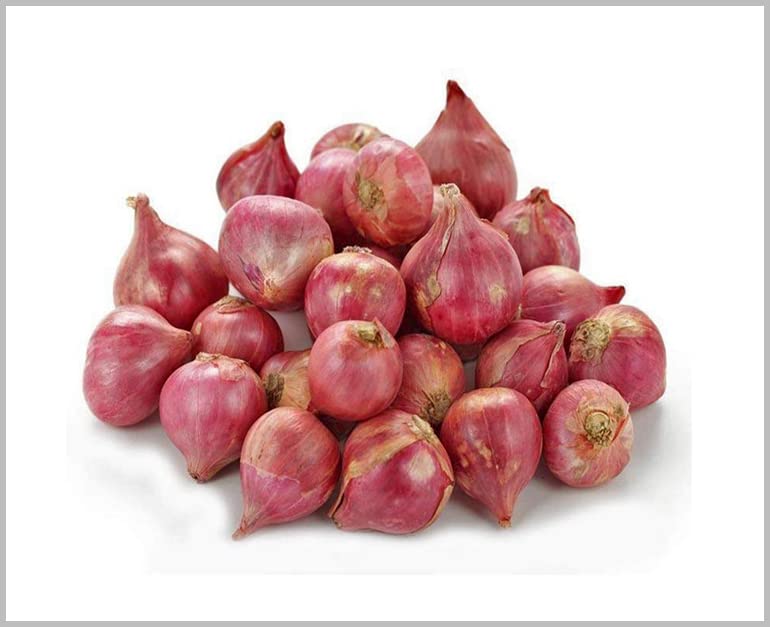 Onion Small/Sambar Onion (Pink Color) Traditional Seeds (Pack of 100+ Seeds) - GardenHunt (B0BPPS6K1N) Amazon Price History, Amazon Price Tracker
