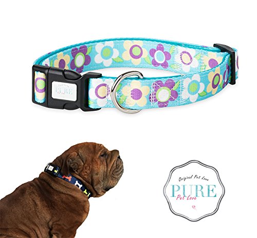 PetLove Collare per cani – Imbottito e regolabile in nylon – in turchese, taglia XL (2,5 x 48 – 66 cm) – Collare per cani di taglia grande