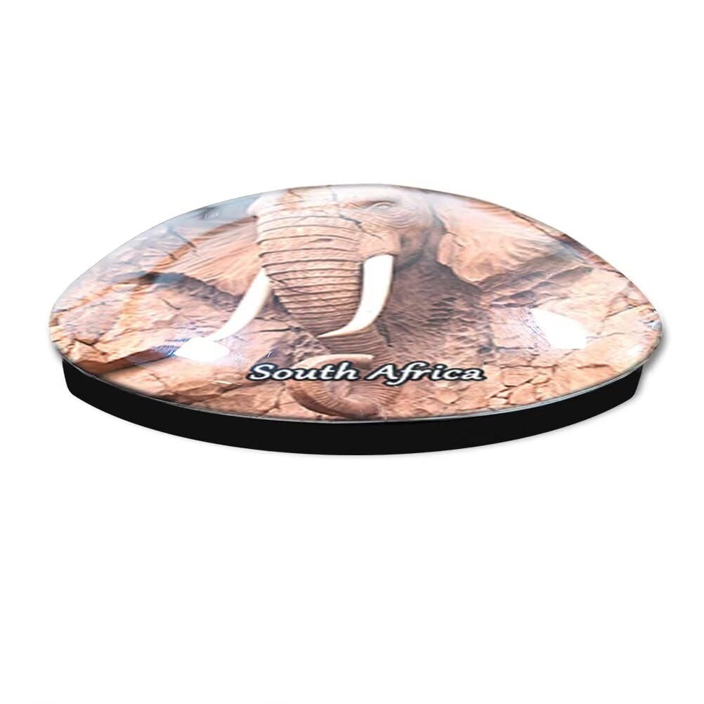 Calamita da frigorifero del Sud Africa magneti souvenir decorazioni da viaggio YXSJ4081