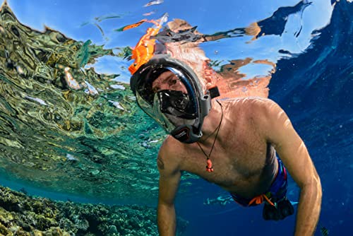 OCEAN REEF - Aria QR + Máscara de Snorkel Full Face con liberación rápida - Visión subacuática de 180 grados - Negro, talla Large-Extra Large miniatura 4