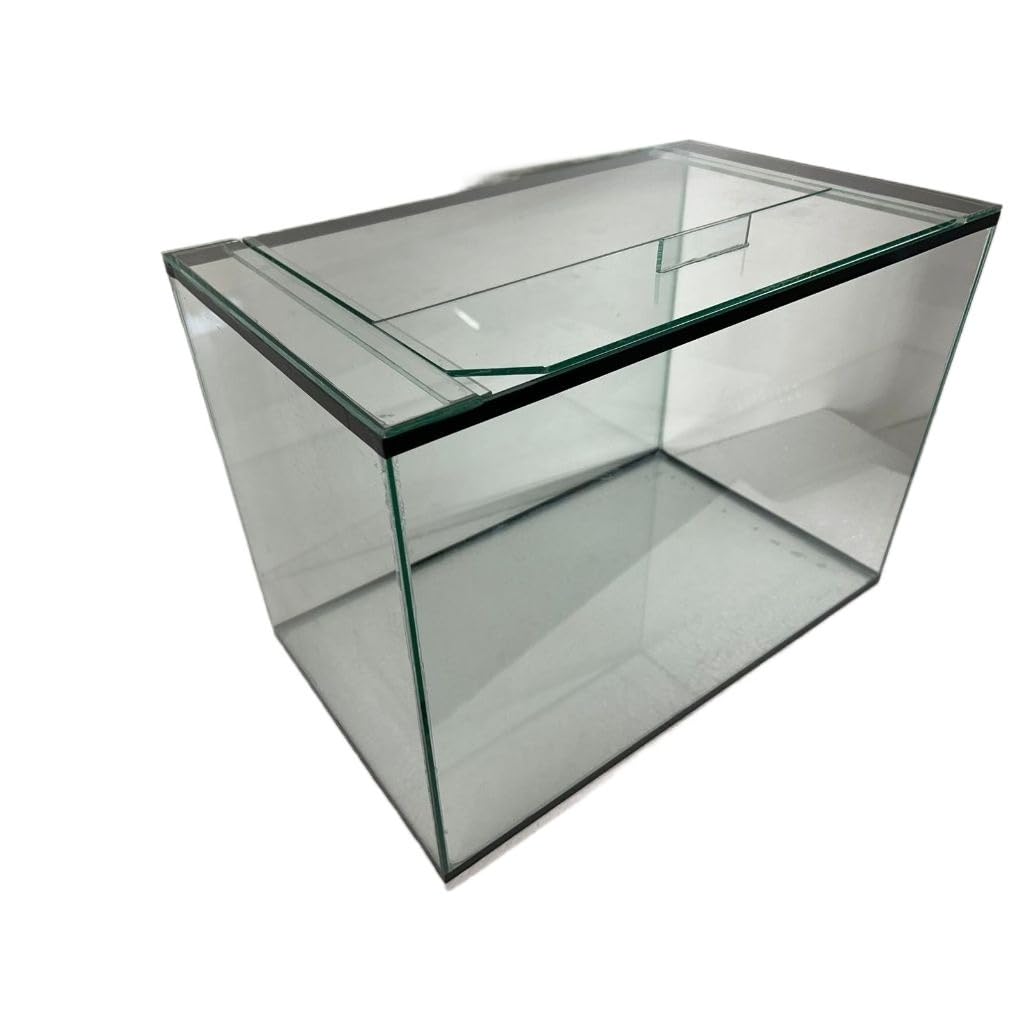 Aquário 50 Litros Vidro Tampa 50x30x35 Transparente Peixes Decoracao
