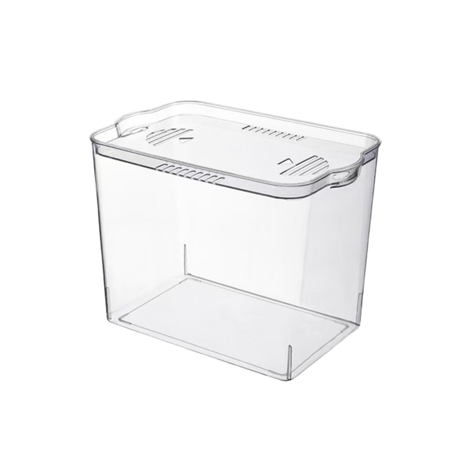 Amazon | 蓋付きの大型透明プラスチック水槽は、ご家庭での魚や水草の