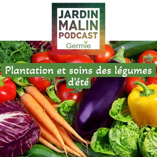R&eacute;ussir ses plantations d&rsquo;&eacute;t&eacute; au potager : conseils, astuces et erreurs &agrave; &eacute;viter