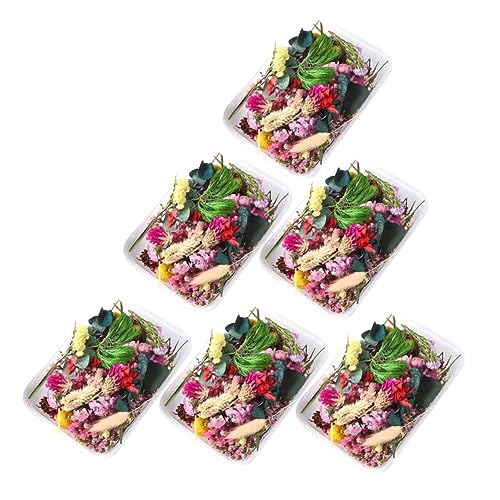 Flores secas para manualidades pack 6 cajas ABOOFAN miniatura 1