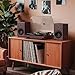 RetroAudio Vinyl Record Player with 24W Bookshelf Speakers(Powerful Bass), HiFi System Turntable for viny records, Vintage Vinyl Player with Magnetic Cartridge, BT IN&OUT, RCA OUT, Auto Stop, 33/45RPM