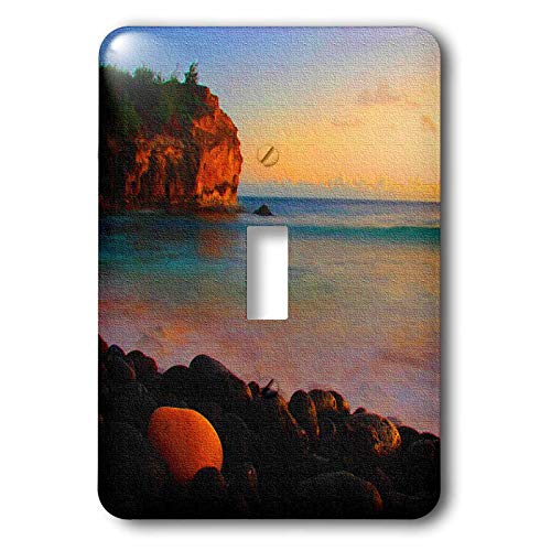 Plaque interrupteur à baïonnette Shipwreck Beach Sunset canvas deco - 2