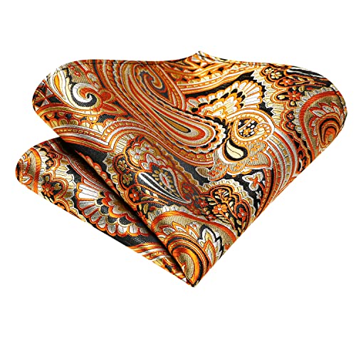 Image of Dubulle Paisley Floral Ascot for Men Self Tie Mens Cravat and Pocket Square Cufflinks Wedding