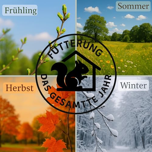 Eichhörnchen Futterhaus Braun – Wetterfest & Stabil mit Kunststoffscheibe, Belüftetem Futterreservoir & Rutschfester Sitzfläche – Sicher & Langlebig für Garten & Balkon (Braun)