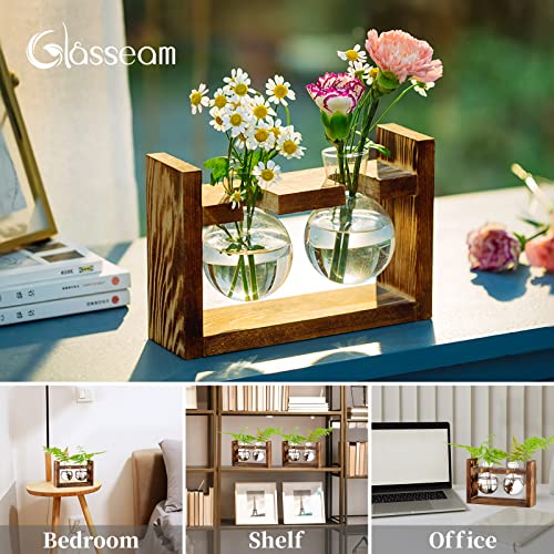 Vermehrungsstation 2 Stück Glühbirne Avocado Vase Glas Eichel Vase Für Blumen Terrarium Jar Pflanzgefäß Mit Holzregal Standhalter Für Grünwasserpflanzen Fit Für Home Kitchen Table Desk Indoor Decor