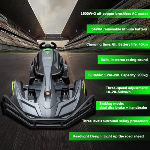 Electric Go Kart, PRO Go Karts for Adults Build in 1500W*2 AC Brushless Motor with 54V8A Removable Lithium Battery and Handbrake, 50km/h High Speed Drifting Gokart for Ages 14+ Up to 2m/200kg
