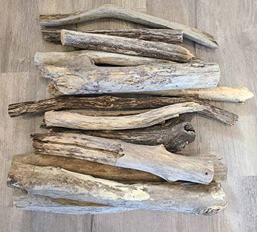 Chubby Driftwood Pieces, 10