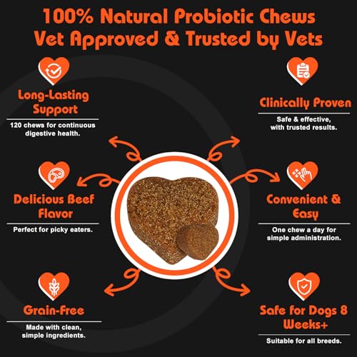Daily Probiotics for Dogs - 120 Beef Flavored Soft Chews with Natural Pumpkin Powder for Healthy Gut & Sensitive Tummy. Reduces Scooting, Loose Stools, Smelly, Itchy Ears for Small, Medium, Large Dogs - Image 7