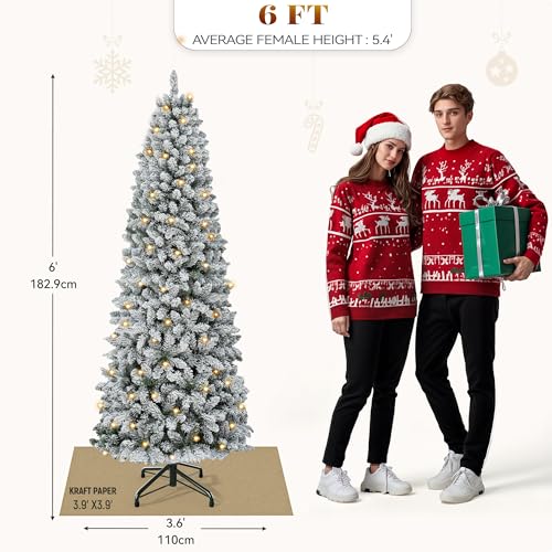 Photo complémentaire