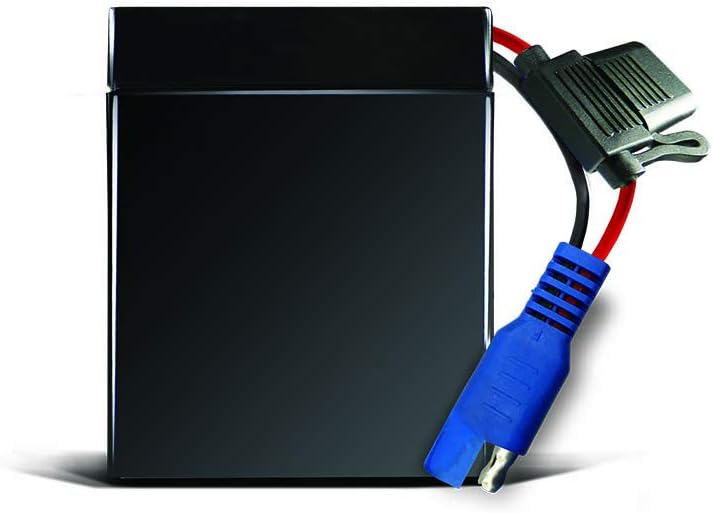 Schumacher TB1 4.5Ah 6V Rechargeable Replacement Battery for Kid Trax Ride-On Toys : Electronics