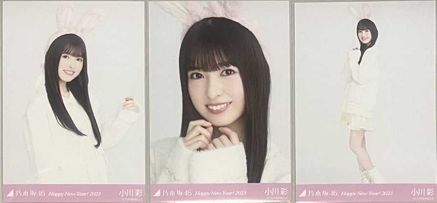 乃木坂46干支兎　生写真　５４枚 乃木坂46干支兎 生写真 54枚 Amazon.co.jp: 乃木坂46 2023年1