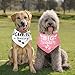 Heclia Big Sister Dog Bandanas Gender Reveal Announcement Scarf for Medium Cute Pet Photo Props for Pregnancy Reveals Birthdays Family Adjustable 2 Pcs Soft Pet Bandana for Celebrations Photo Shoots