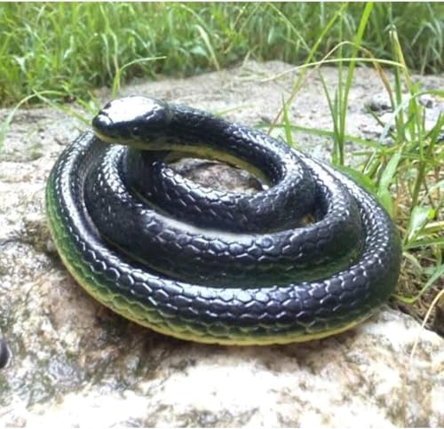 Image of YOOKO Brown Lizard and Black Fake Snake Combo Toys | Real Looking Rubber Lizard Toy | Original Look Chipkali Lizard Toy | Rubber Snake Prank Gadget for Kids and Adults (Pack of 1 Lizard & 1 Snake)