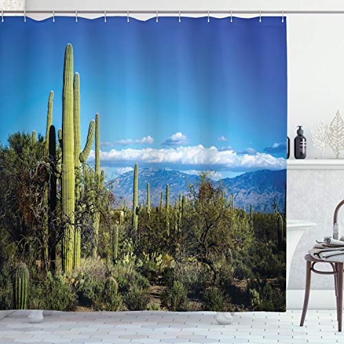 Ambesonne Desert Shower Curtain, Wide View of The...