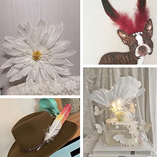 Tobeautypro 5-7 Inch Colorful Feathers, Natural Feathers For Diy Craft Art, Decor Feathers For Carnival Handwork Clothing Hair Hats Crafts Home Wedding Party Decoration Halloween Costumes #TOP4