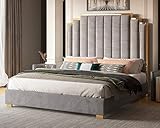 Albott King Size Platform Bed Frame, 65' Velvet Upholstered Bed with Gold Trim Headboard/Wooden Slats/No Box Spring Needed/Grey