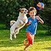 Nerf Dog Trackshot Ball Dog Toy with Interactive Squeaker and Crunch, Lightweight, Durable and Water Resistant, 4.5 Inches, For Medium/Large Breeds, Single Unit, Blue/Orange