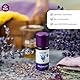 Taoasis Lavendelöl 10 ml – 100 % naturreines ätherisches Öl, Bio-Qualität